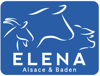 ELENA Logo
