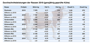 Leistungen 2019